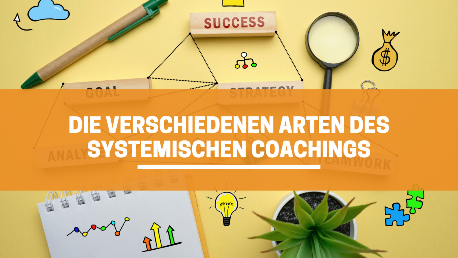 Arten des systemischen Team-Coachings